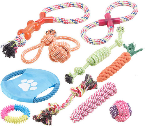 Jouet pour chien a macher