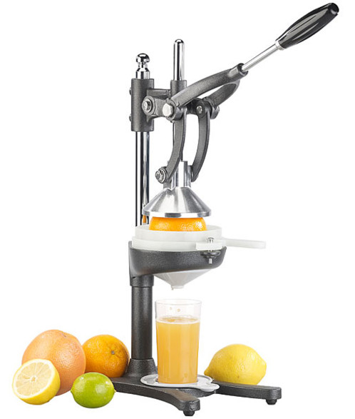 Presse Agrumes A Levier En Inox Pour Oranges Pamplemousses Grenades Pearl Fr