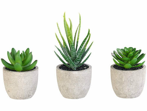 3 succulentes artificielles en pots