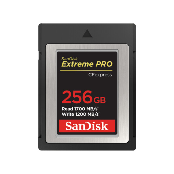 Carte mémoire CFexpress Type B 256 Go Extreme PRO