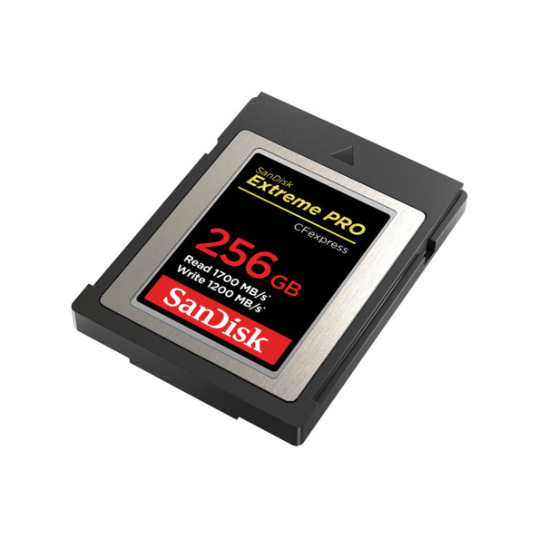 Carte mémoire CFexpress Type B 256 Go Extreme PRO