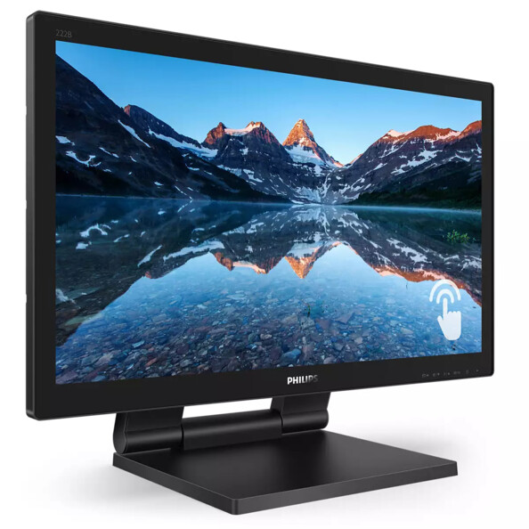 Moniteur Philips 222B9TA en mode portrait pour affichage vertical