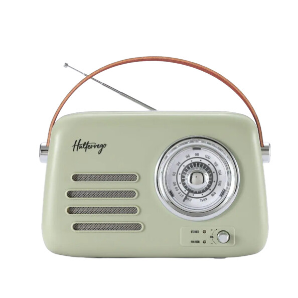 Enceinte Halterrego vert amande avec cadran d’accord FM boutons BT AUX et poignée marron
