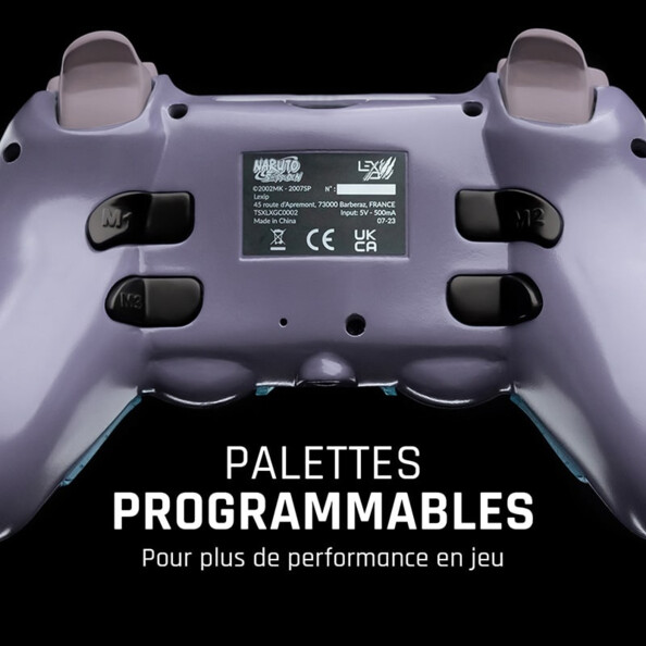 Affiche illustrant les palettes programmables situées derrière la manette