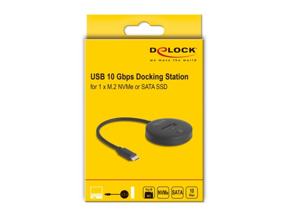 Station d’accueil Delock pour SSD M.2