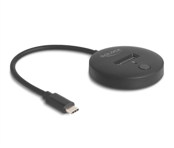 Station d’accueil Delock pour SSD M.2