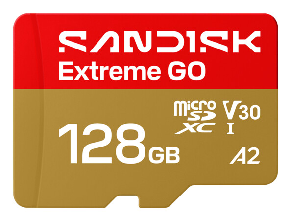 Carte microSDXC Extreme GO 128 Go UHS-I U3 V30 A2