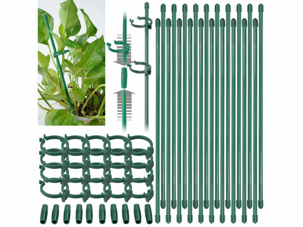 20 tuteurs 30 cm pour plantes d’intérieur sous différents angles avec vignette de mise en situation avec une plante verte
