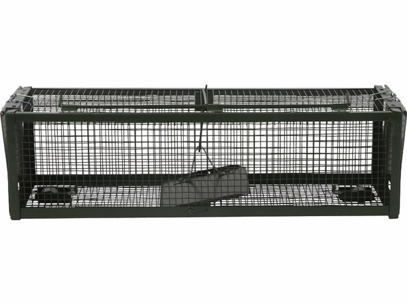 pièges à souris inoffensifs XXL pour souris ou rats