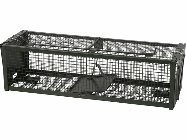 pièges à souris sans cruauté pour souris ou rats