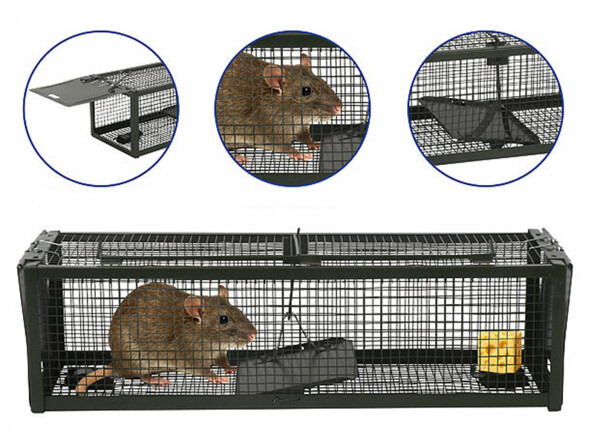 2 pièges à souris inoffensifs XXL