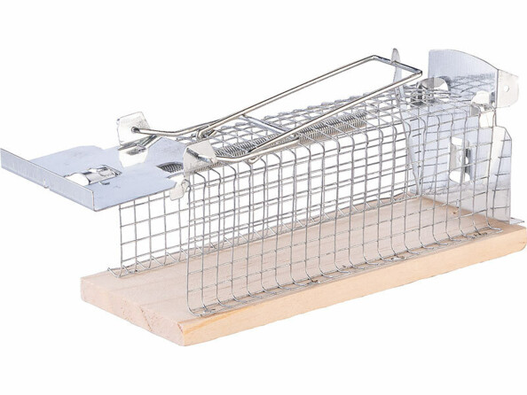 piège à souris inoffensif en bois et métal