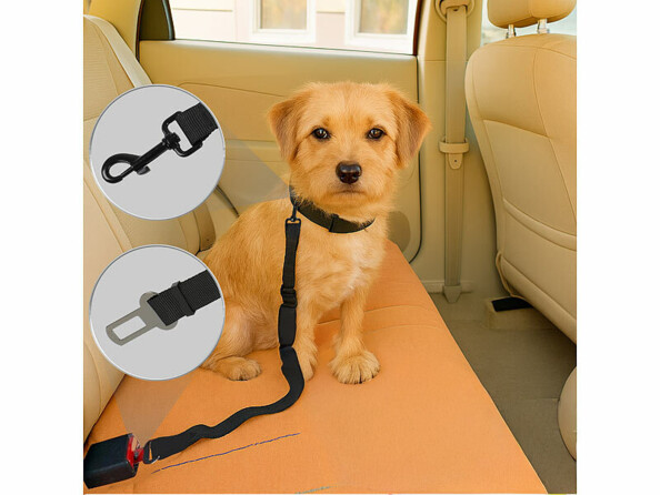 ceinture de sécurité pour chien voiture