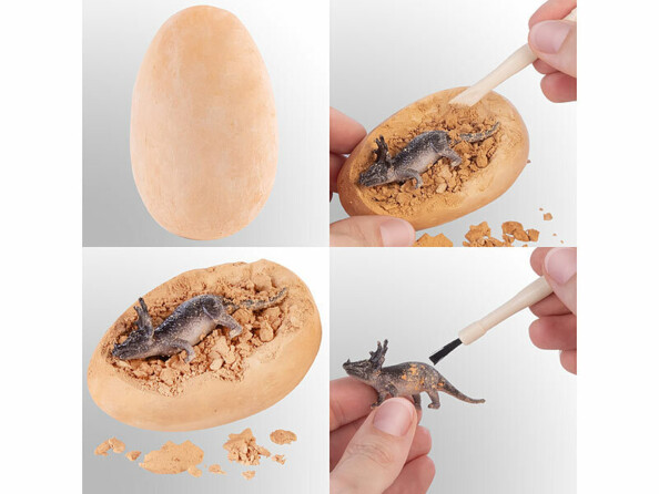kit de fouilles avec photos de 4 étapes d'extraction du dinausore de son oeuf