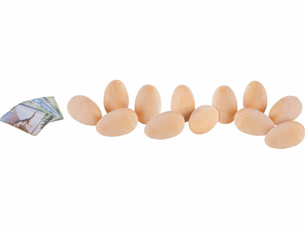 kit de fouilles avec 12 oeufs de dinosaures en plâtre et fiches 