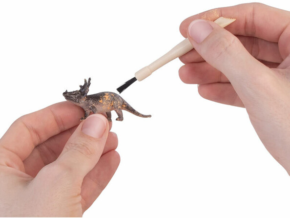 dinosaure extrait d'un oeuf en plâtre nettoyé avec une brossette