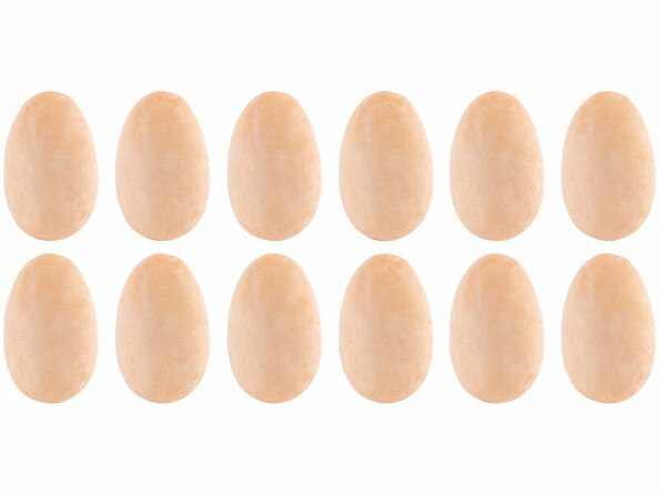 12 oeufs de dinosaures en plâtre