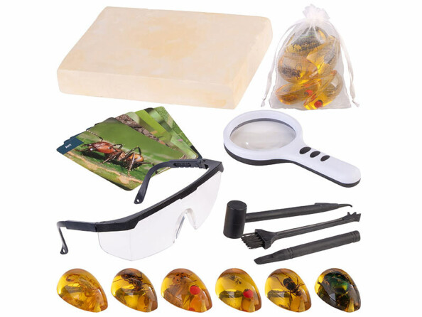 kit de fouilles pour insectes dans l'ambre avec accesoires de recherche et fiches