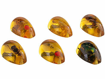 insectes dans de l'ambre pour kit de fouilles vus de coté