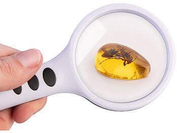 insecte pris dans de l'ambre observé avec une loupe