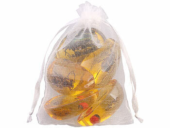 insectes pris dans de l'ambre dans leur sac de transport