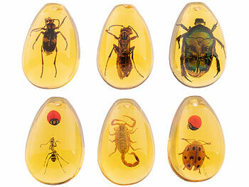 insectes dans de l'ambre pour kit de fouilles vus de dessus