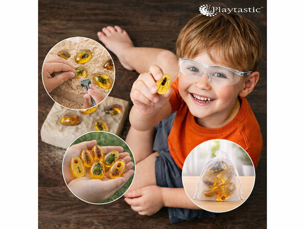 kit de fouilles pour insectes dans l'ambre avec accesoires de recherche et fiches
