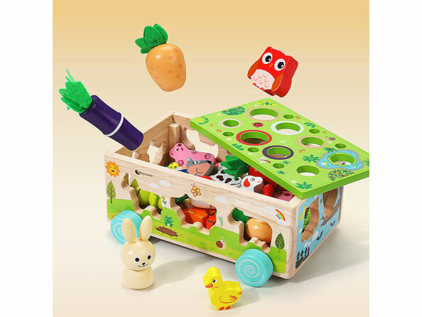 Jeu de tri et d’éveil en bois