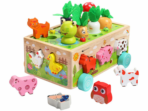 Jeu de tri et d’éveil en bois