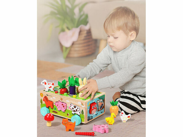 Jeu de tri et d’éveil en bois