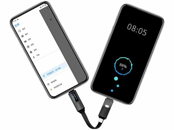 Câble USB-C / USB-C Lightning porte clé Power Delivery 100 W