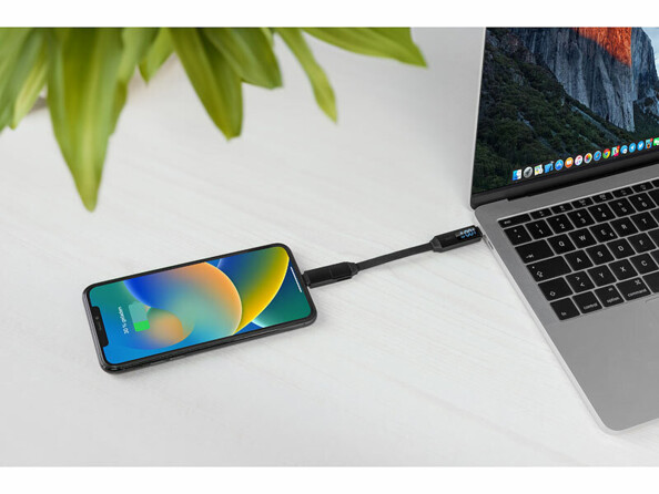 Câble USB-C / USB-C Lightning porte clé Power Delivery 100 W