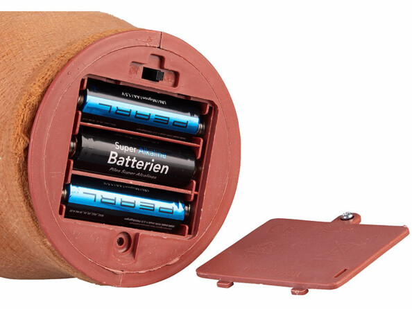 Cactus dansant à piles