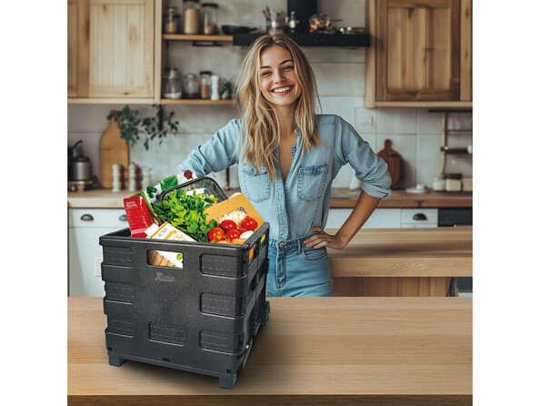 Chariot de transport pliable