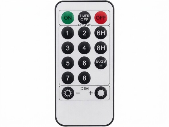 Guirlande lumineuse télécommandée 400 LED avec intensité variable – 20 m