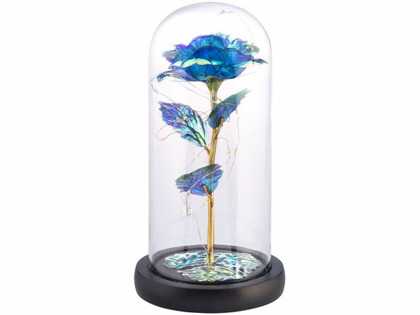 déco rose translucide sous cloche avec LED