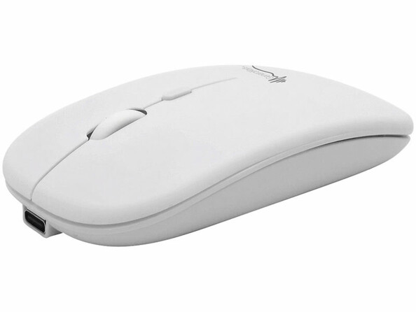 Souris sans fil rechargeable avec fonction bluetooth 5.2 et RF blanche