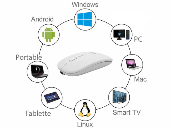 Souris sans fil rechargeable avec fonction bluetooth 5.2 et RF blanche