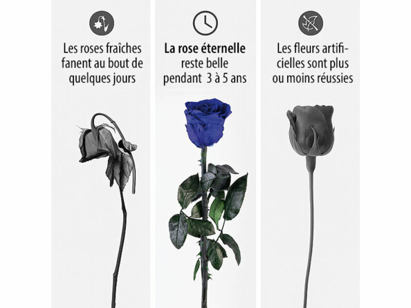 Rose éternelle avec tige - bleu