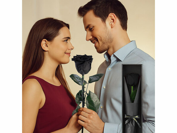 rose éternelle noire