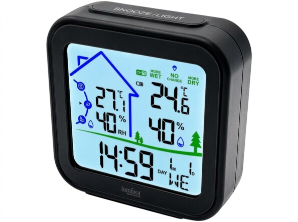 Thermomètre et hygromètre FWS-80 avec capteur extérieur sans fil