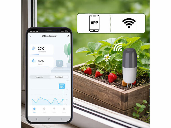 capteur de température et humidité connecté pour plantes SUN-155 mis en situation dans une jardinière avec logo wifi et app et smartphone