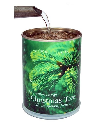 Canette ''Sapin''