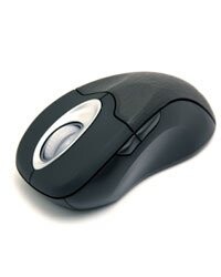 Souris sans fil Microsoft