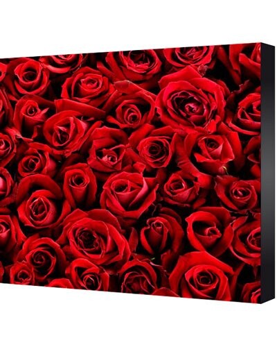 Tableau Laqué ''Roses Rouges''