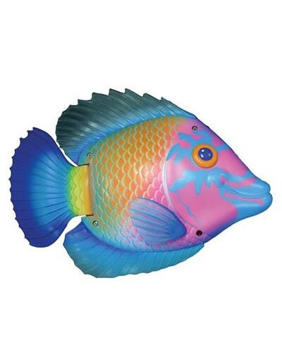 Poisson nageur rose et bleu