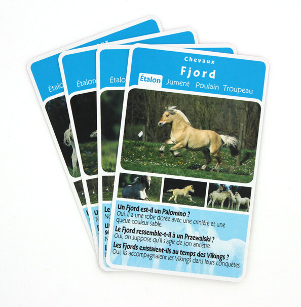 Quiz Quartet - Chevaux