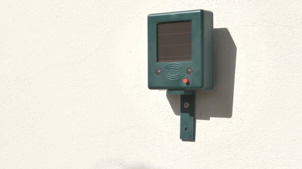 Répulsif oiseaux écologique et économique.