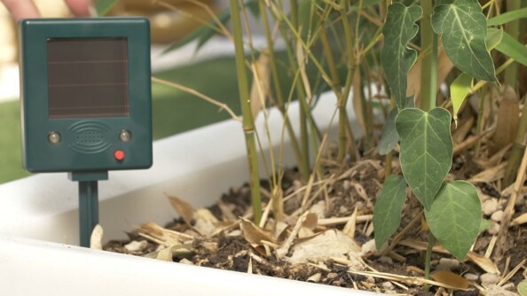 Répulsif oiseaux solaire ''Sounds & Flash''. Mise en situation.