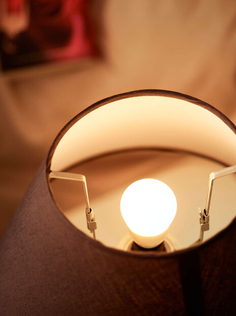 2 ampoules à LED E27 7W - 806 lumens